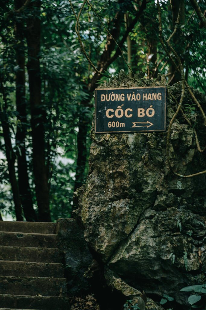 Hang Cốc Bó (Hang Pác Bó)